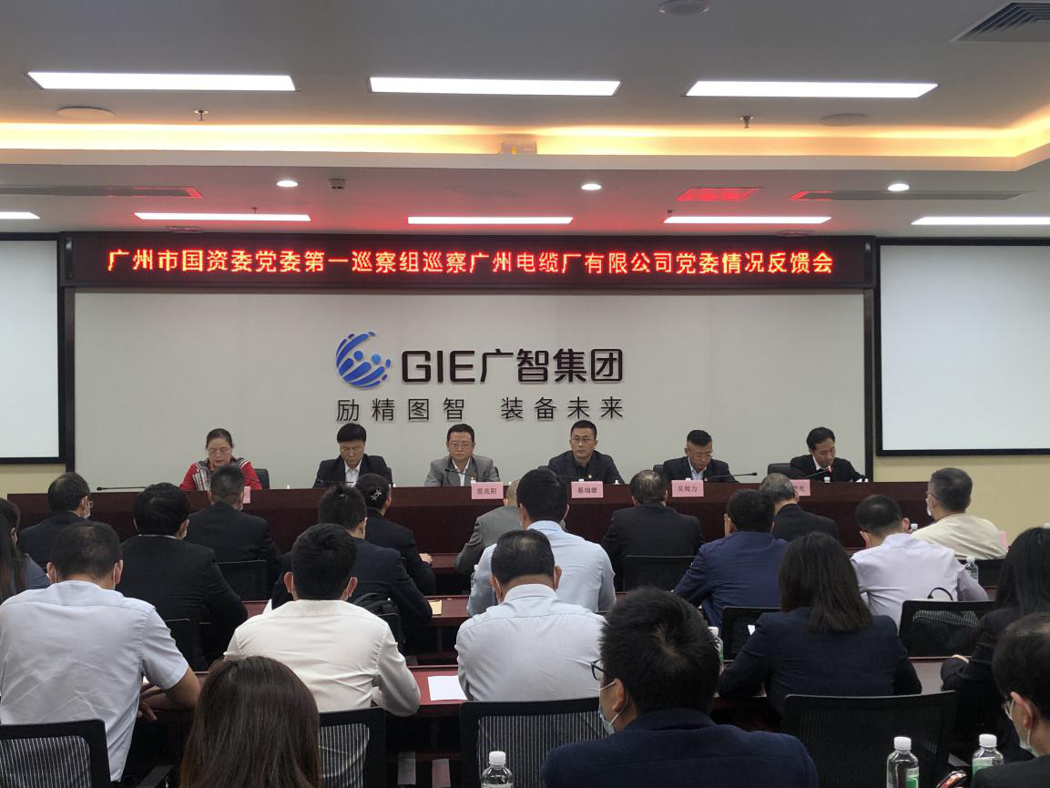 广州市国资委党委第一巡察组 向广州电缆厂有限公司党委反馈巡察情况